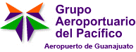 Aeropuerto Internacional Del Bajío (BJX)
