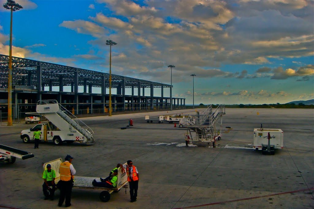 Aeropuerto Internacional de Los Cabos (SJD) - Aeropuertos.Net