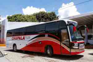 Autobuses del Autotransporte Guadalajara Chalapa.